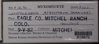 Image Associated With the Occurence